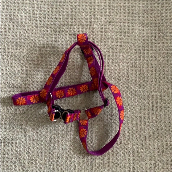 Huge Lot Of Large Dog Accessories - Picture 6 of 6